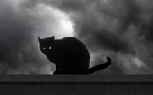 อาถรรพ์ แมวดำ! สื่อวิญญาณร้ายมาสู่คน กับเรื่องลี้ลับที่เล่าต่อๆกันมา!