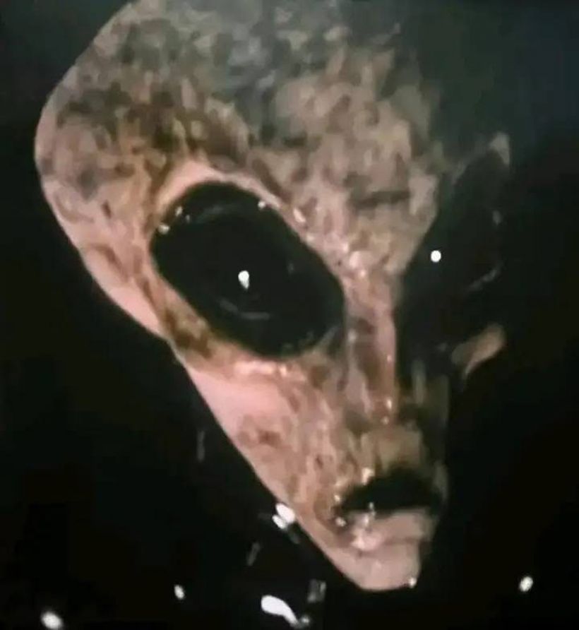 อ้างภาพลับKGBเผยมนุษย์ต่างดาว แต่ChatGPT วิเคราะห์ชัดมีพิรุธ