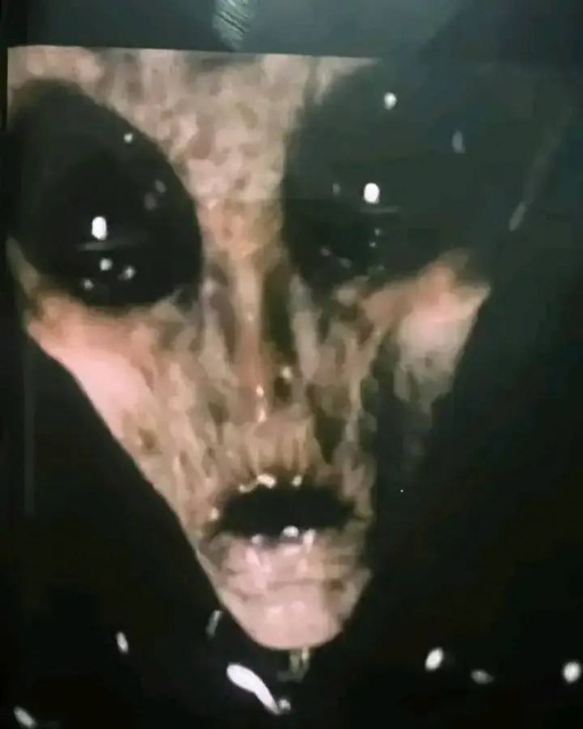 อ้างภาพลับKGBเผยมนุษย์ต่างดาว แต่ChatGPT วิเคราะห์ชัดมีพิรุธ