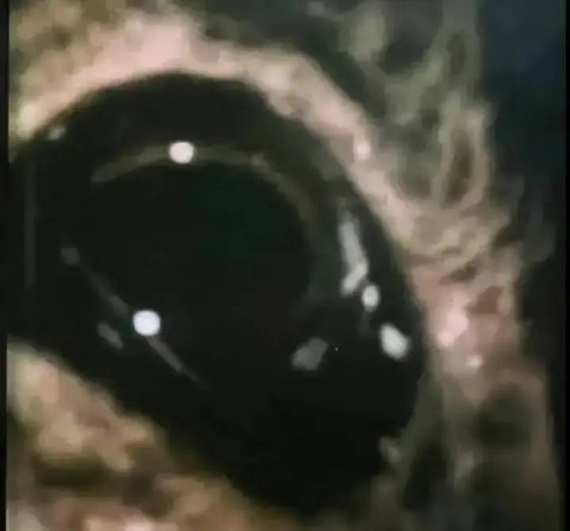 อ้างภาพลับKGBเผยมนุษย์ต่างดาว แต่ChatGPT วิเคราะห์ชัดมีพิรุธ